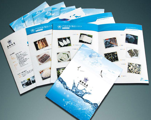 說(shuo)明書畫冊